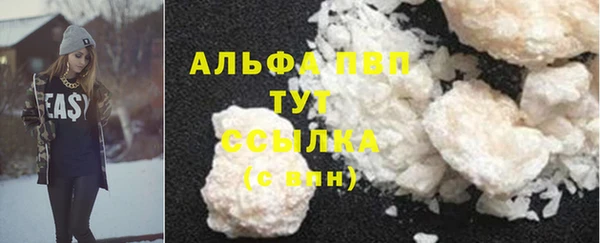 дмт Вяземский