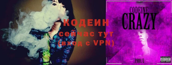 дмт Вяземский