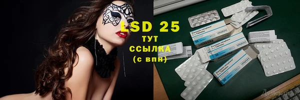 амф Вязьма