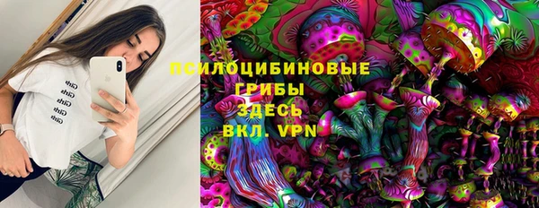 амф Вязьма