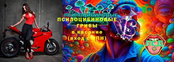 амф Вязьма