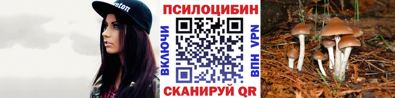 Галлюциногенные грибы MAGIC MUSHROOMS  Петровск-Забайкальский 